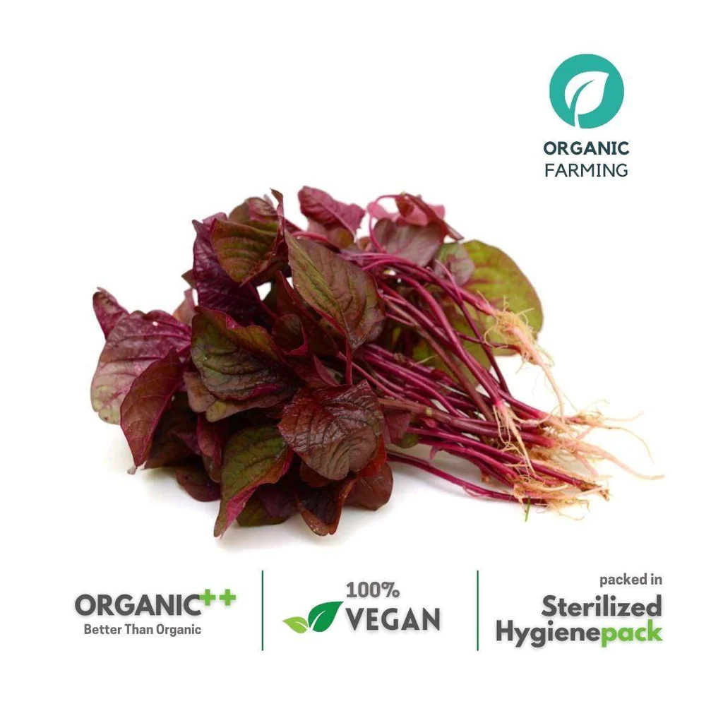 red-amaranthus