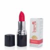 Seduce (Shimmer)-329